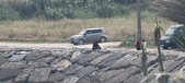 Enlarge photo 173