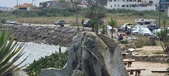 Enlarge photo 175