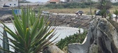 Enlarge photo 174