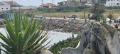 Enlarge photo 179
