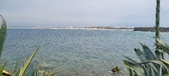 Enlarge photo 180