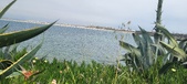 Enlarge photo 184