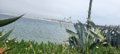 Enlarge photo 185