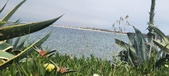 Enlarge photo 183