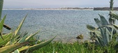 Enlarge photo 182