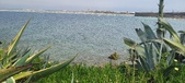 Enlarge photo 186