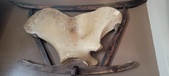 Enlarge photo 196