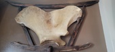 Enlarge photo 195