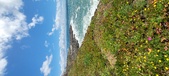 Enlarge photo 105