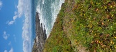 Enlarge photo 106