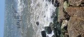 Enlarge photo 206