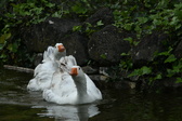 Enlarge photo 87