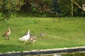 Enlarge photo 51