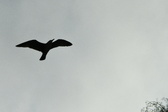 Enlarge photo 40