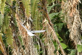 Enlarge photo 33