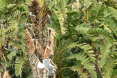 Enlarge photo 32