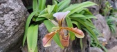 Enlarge photo 33