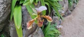 Enlarge photo 34