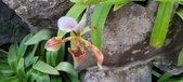 Enlarge photo 35