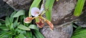 Enlarge photo 36