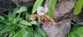 Enlarge photo 37