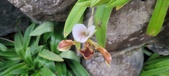 Enlarge photo 38