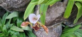 Enlarge photo 39