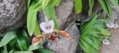 Enlarge photo 40