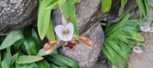 Enlarge photo 41