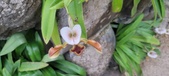 Enlarge photo 43