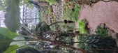 Enlarge photo 44