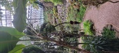 Enlarge photo 45