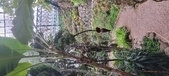 Enlarge photo 46
