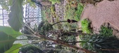 Enlarge photo 47