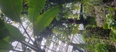 Enlarge photo 48