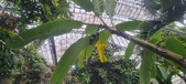 Enlarge photo 49