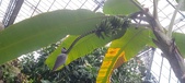 Enlarge photo 50
