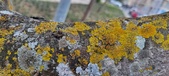Enlarge photo 75