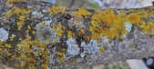 Enlarge photo 77