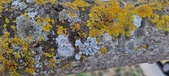 Enlarge photo 76