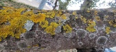 Enlarge photo 80