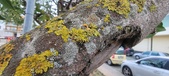 Enlarge photo 81