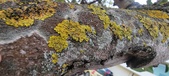 Enlarge photo 82