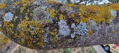 Enlarge photo 83