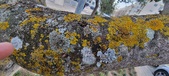 Enlarge photo 85