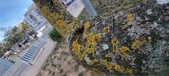 Enlarge photo 84