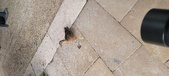 Enlarge photo 146