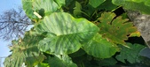 Enlarge photo 147