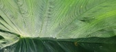 Enlarge photo 158