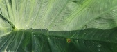 Enlarge photo 157